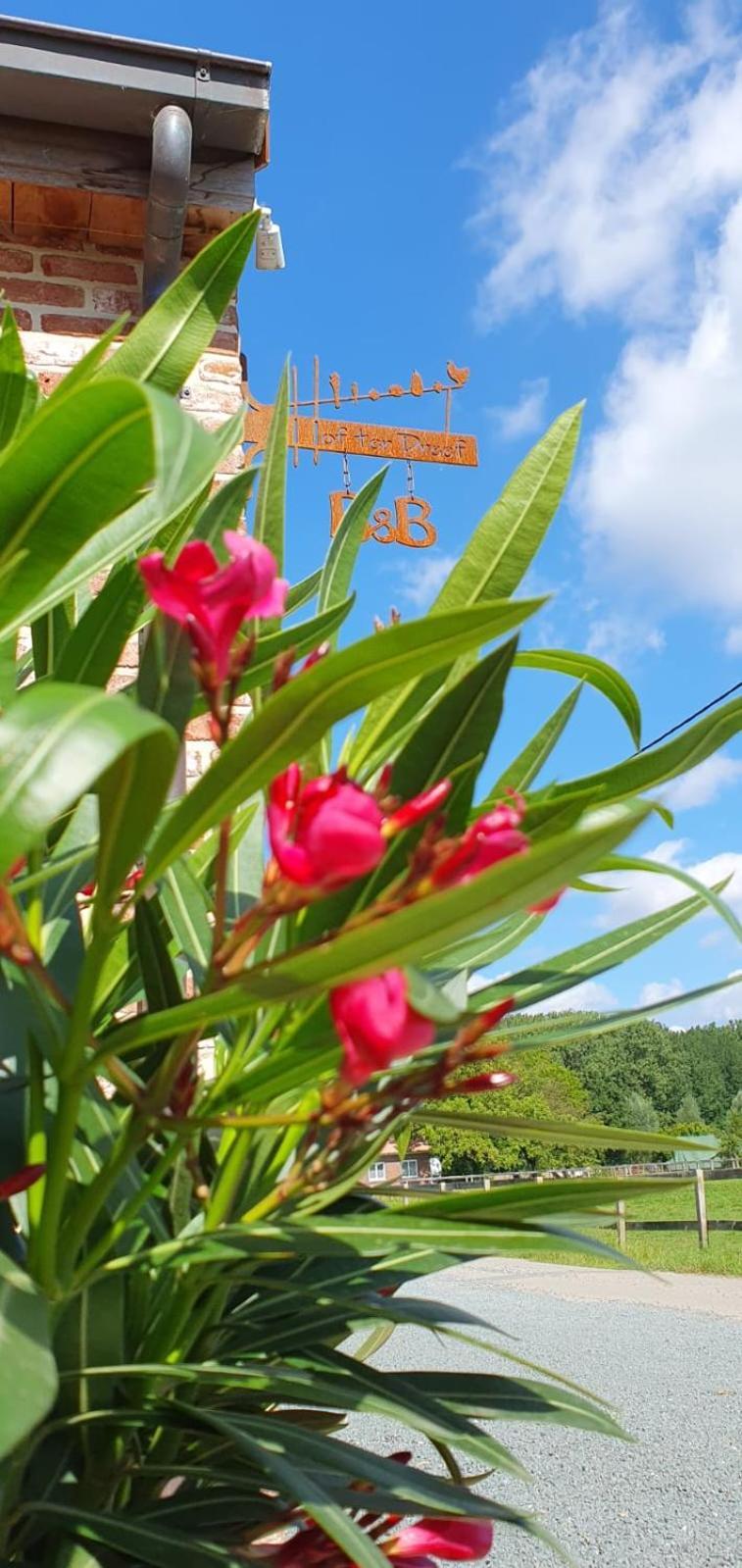 Hof Ter Dreef Bed & Breakfast Meise Eksteriør bilde